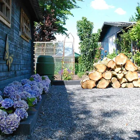 In Country Daire *